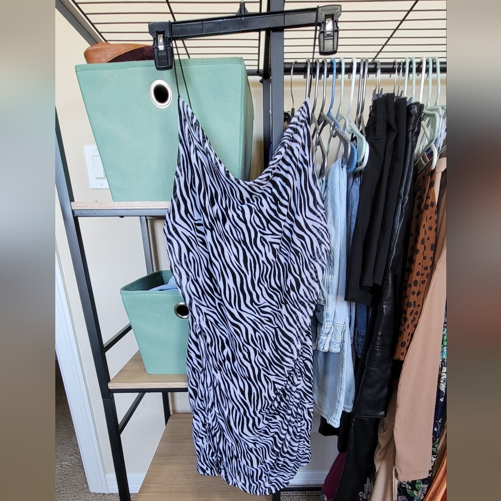 WILD FABLE Cowl Neck Zebra Mini Slip Dress